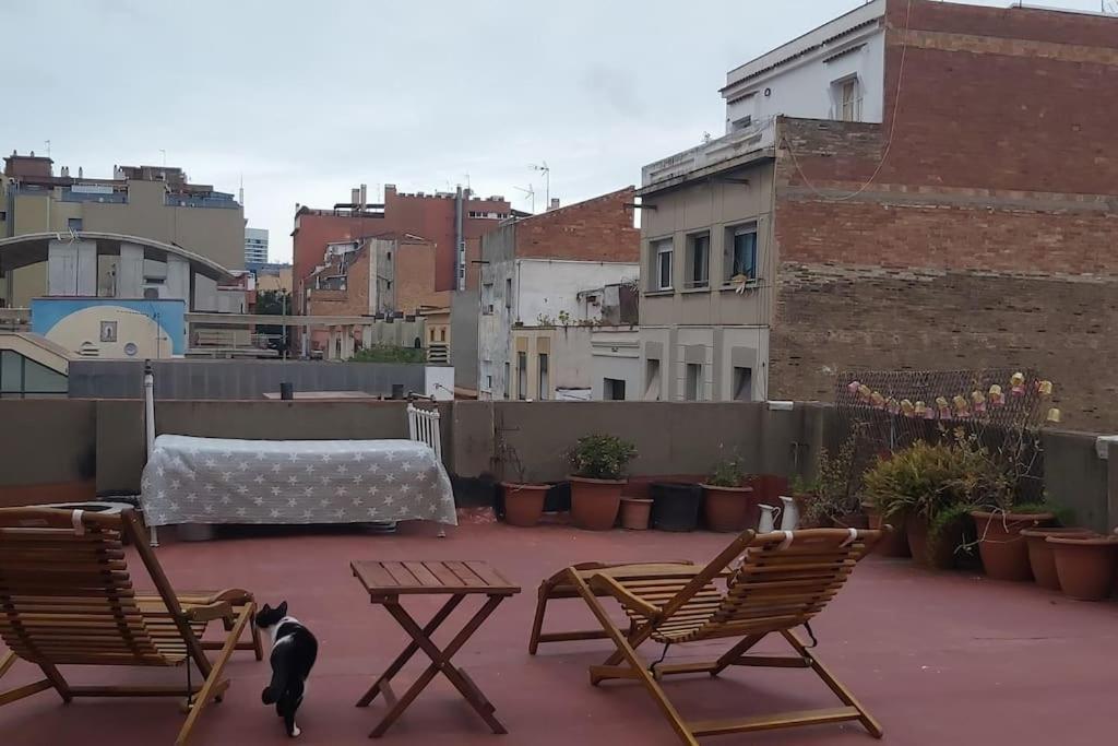 Small Room In Sants With Huge Terrace Barcelona Eksteriør bilde