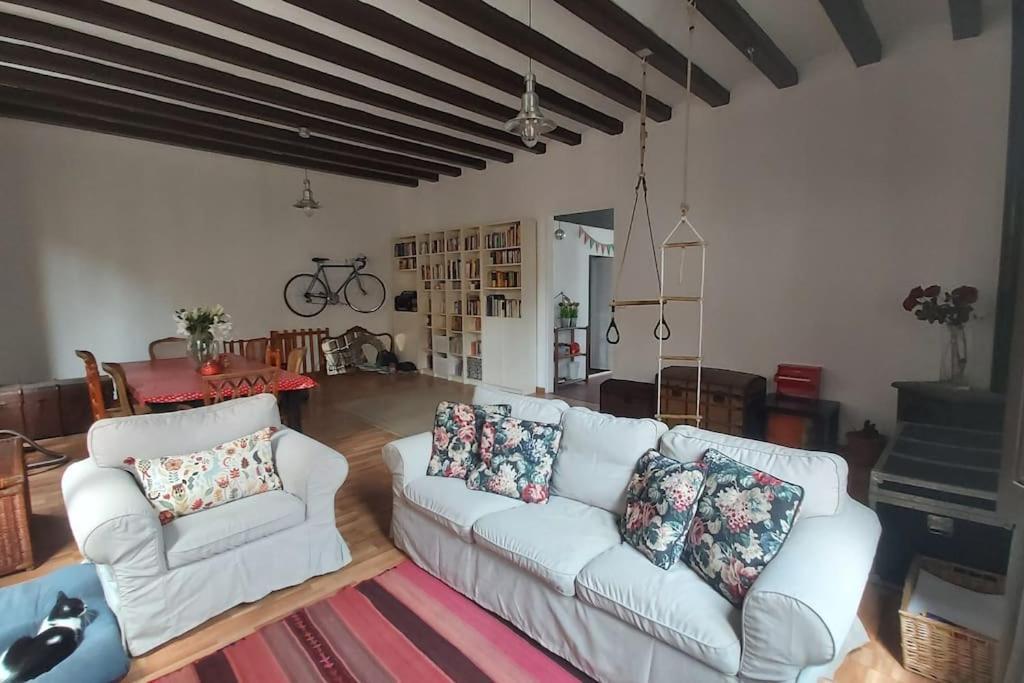 Small Room In Sants With Huge Terrace Barcelona Eksteriør bilde